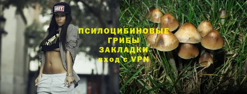 Галлюциногенные грибы MAGIC MUSHROOMS  Мирный 